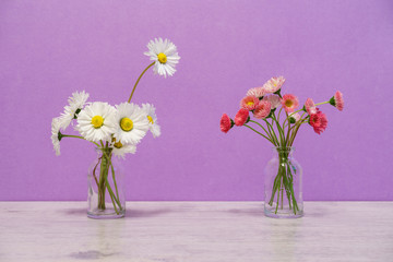 Summer creative still life in minimal style. White and pink Marg