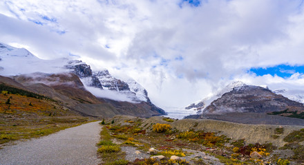 Obraz premium Athabasca Glacier at Jasper national park