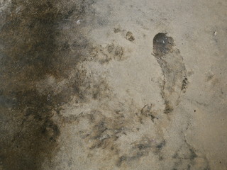 art concrete wall background