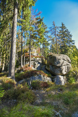 Fototapeta na wymiar Weissmainsfelsen Felsblöcke im Fichtelgebirge Ochsenkopf Steine im Wald