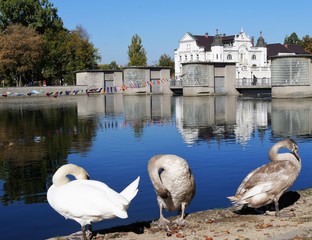 Landshut