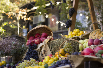 in the garden: the autumn harvest fruit in the hay.