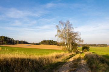 Dirt road between meadows and fields