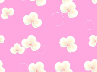 White orchids on a pink background. Vector illustration