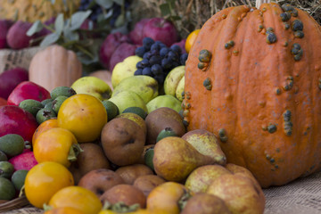 Naklejka na ściany i meble pumpkins and fruits in autumn 