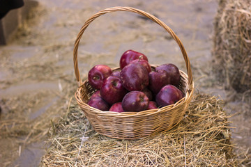 A bunch of apples in a handmade basket