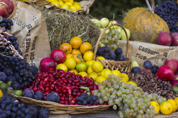 in the garden: the autumn harvest frui in the hay.