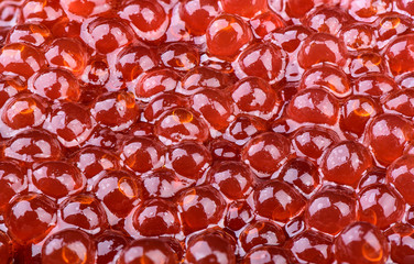 Close-up red caviar as background.  Salmon caviar
