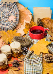 Autumnal beverage with homemade natural sweets. Hat scarf and honey natural sweets in jars near mug of tea background covered fallen leaves. Natural homemade treats autumn season keep healthy