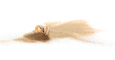 Obraz na płótnie Canvas Sea shell in sand pile isolated on white background