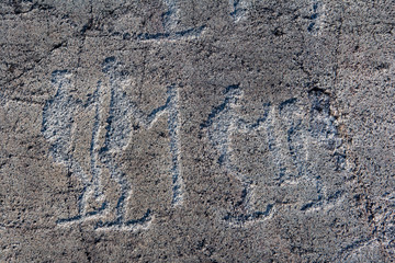 Ancient rock paintings, petroglyphs in a natural park