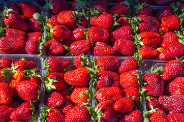 Red fresh strawberries in boxes