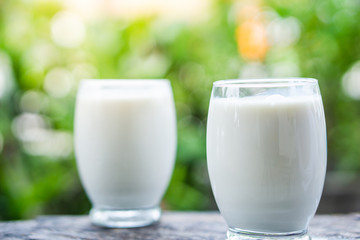 fresh milk glasses on wooden table over nature morning background 