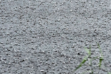 Rain falls to the surface of the lake.