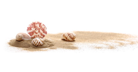Fototapeta premium Sea shells in sand pile isolated on white background