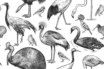 Cotton fabric Birds cranes, cassowary, flamingo, swan, hoopoe, kiwi. Seamless pattern