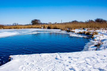 A sunny winter day on the river. Shore the rivers covered with snow. The blue water of the river reflects the sky_