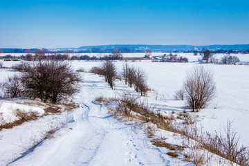 Winter road in the field on a sunny winter day. Trees along the road_