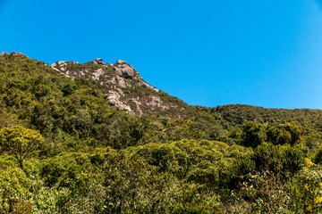 Ridges and vegetation of the Serra dos Órgãos National Park, Teresópolis, Brazil