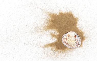 Sea shell in sand pile isolated on white background, top view