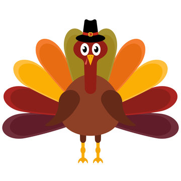 Vector illustration of a thanksgiving turkey
