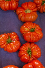 Marktgemüse Tomaten