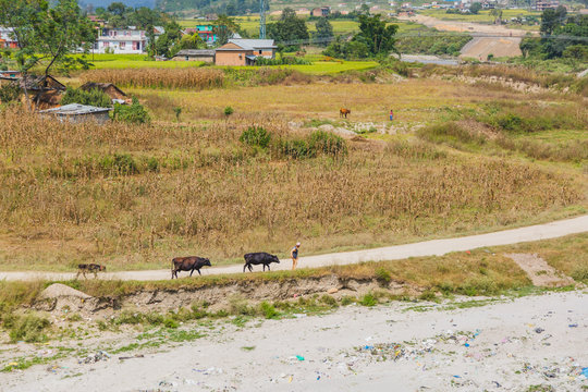 Village life in Nepal