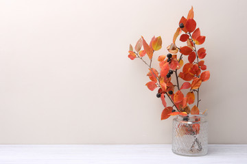 Branches with red leaves in vase in interior in autumn time.  Background with colorful branches bouquet and empty place.