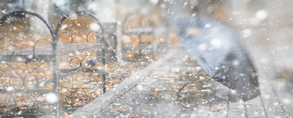 Obraz na płótnie Canvas Background autumn park in the first snow