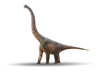 Gordijnen Sauropod Dinosaur is made of cement isolated on a white background with clipping path © Suwan