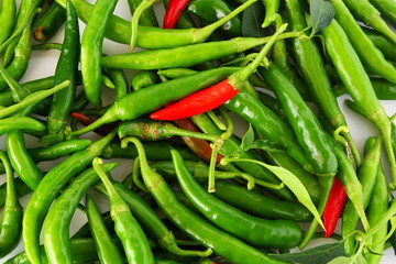 garden fresh green and red chili pepper in white background
