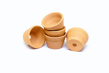 Planted pots lined up on a white background.