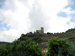  castle on the banks of the rhine