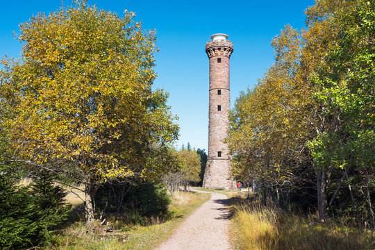Herbststimmung am Hohlohturm bei Kaltenbronn im Schwarzwald