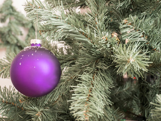 Purpel ball on tree with snowflakes