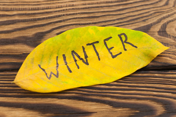 Handwritten inscription of black color WINTER on yellow falling autumn leaf on old rustic brown board