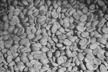Light Roasted Coffee Beans as Background in Black & White