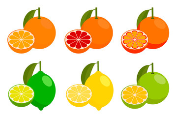 icon set with vector citrus. vector illustration.