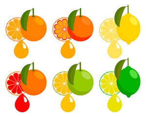 Citrus juice: the taste of orange, lemon, grapefruit, lime. Vector.