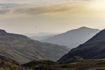 Epic Valley with Mist Summer
