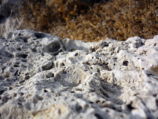 rocas en la bahía de Cadiz, Andalucía. España