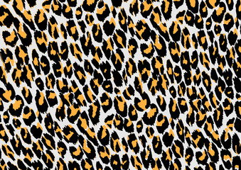 Leopard Pattern