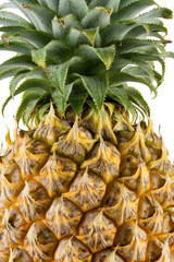 Close-up natural fresh fruit of pineapple, isoolated on white background with clipping path