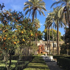 Alcazar , palais, Séville, Espagne 