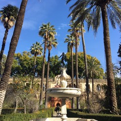 Alcazar , palais, Séville, Espagne 