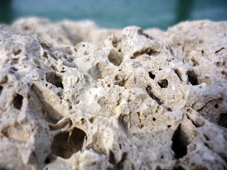 rocas en la bahía de Cadiz, Andalucía. España