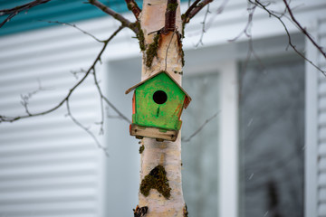 birdhouse on tree