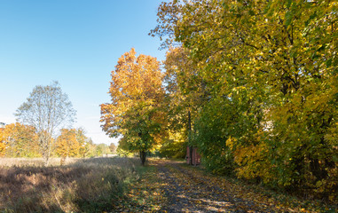 Fototapeta premium autumn path at contyside