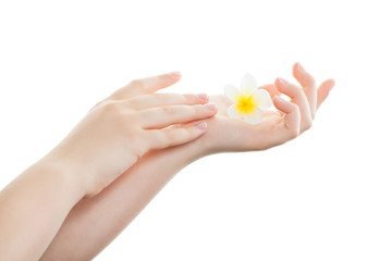 Female hands with perfect nails after manicure salon with french manicure isolated on white background. Spa manicure concept