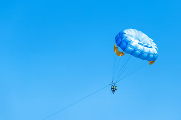 Parasailing on beach in summer. 